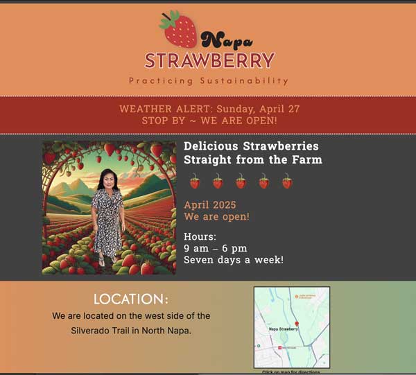 Napa Strawberry Patch